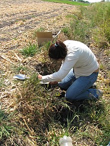 土壤监测分类
