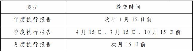 执行报告提交时间